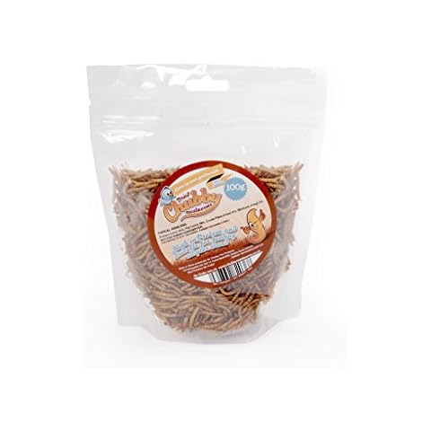 100g Chubby Dried Mealworms for Wild Birds Only Cover