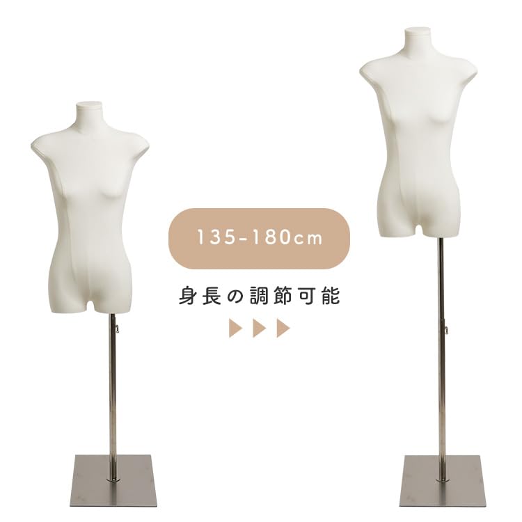 Amazon.co.jp: [MKD.] マネキン トルソー レディーストルソー