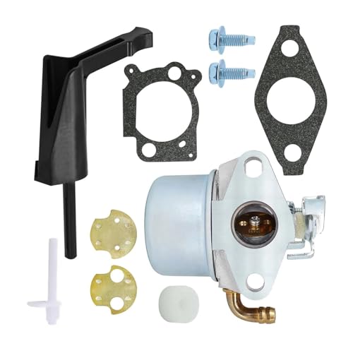 Carburateur 792970 798654 pour moteur 150000 850 de motoculteur