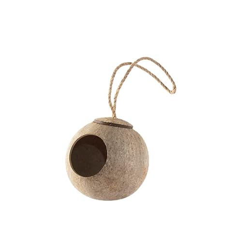  nX^[/IE    B Q RRibck Vя  X OC_[X nlY~ bg ̑ P[W xbh Q  xݏ  pi 1 (B)