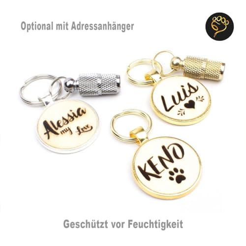 Hundemarke mit Gravur personalisiert | Namensanhänger mit Telefonnummer, Adresse | verschiedene Handschriften & Motive | Gold, Silber, Roségold | für Hunde Halsband, Geschirr, Leine, Geschenk