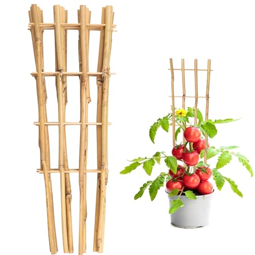 Taoskai 10 Pack 16' Bamboo Trellis for Climbing Plants,...