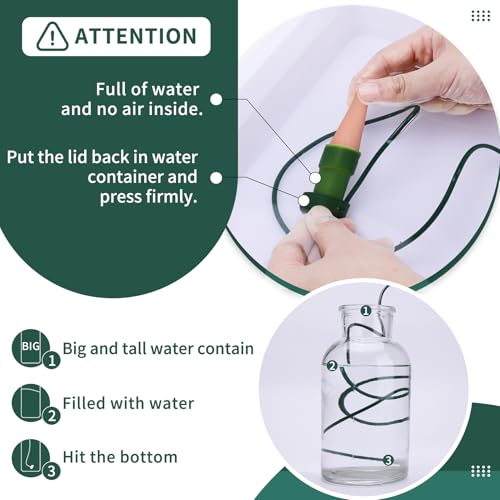 BYDOLL Self-Watering Plant Stakes for Indoor/Outdoor, Automatic Drip Irrigation System (5 Pack)