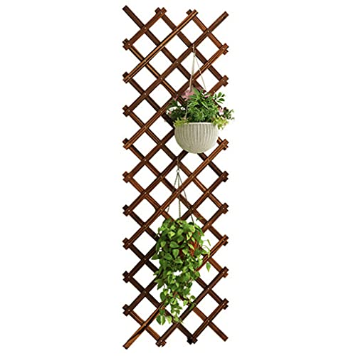 zhicheng shop Jardinière Murale en Treillis en Bois, clôture en Treillis de jardinière en Bois Suspendue Extensible pour Support de Plantes grimpantes Cover