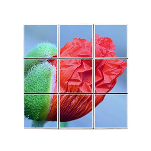 Carreaux céramique coquelicot pour crédence de cuisine lumineuse
