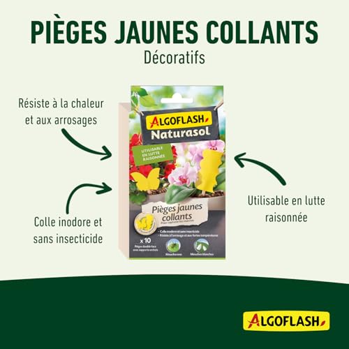 Pièges Jaunes Collants Sans Insecticide ALGOFLASH - Élimine les Insectes - 5