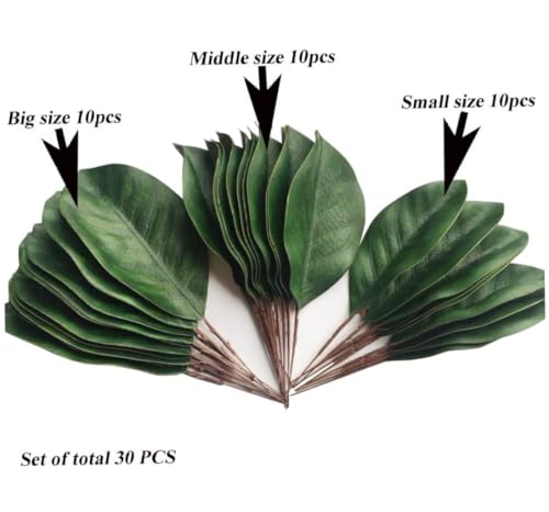 Hojas de magnolia falsas duraderas que no se marchitan pack de 30 8