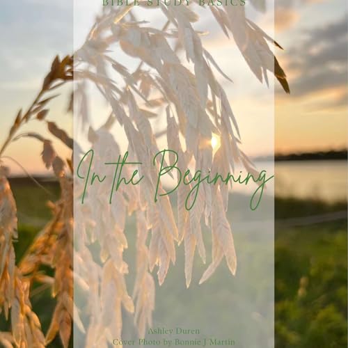 In the Beginning | Session 1