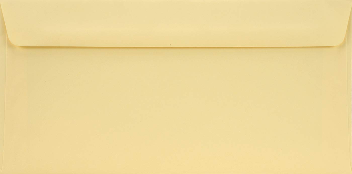 Netuno 100 Long Cream envelopes DL 110 x 220 mm 4.33 x 8.66 in 90gsm Burano Camoscio Invitation Envelope Elegant Colourful envelopes for Weddings Christmas Birthdays Greeting Cards Postcards โ image 1