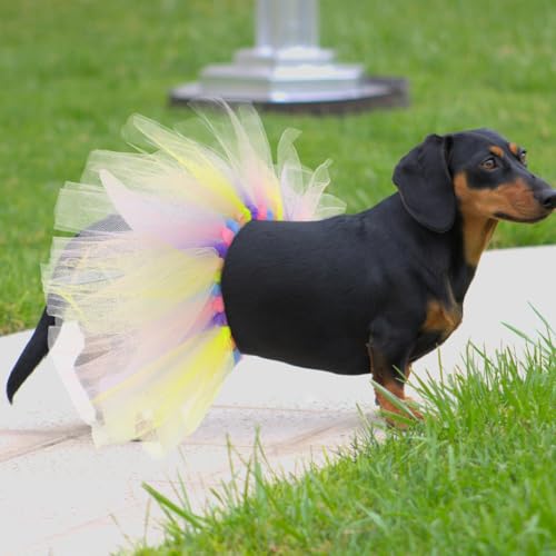 Süßes Tutu-Kleid für Hunde – Stylische Ostermode für Welpen & kleine Hunde