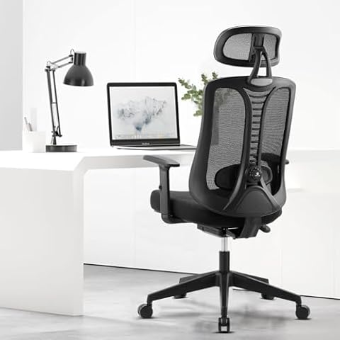 Magic Life Ergonomic Office Chair with Lumbar Support Cover