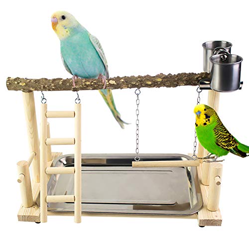 QBLEEV Parrots Playstand Bird Playground Wood Perch Gym Stand Playpen Ladder with Toys Exercise Playgym for Conure Lovebirds