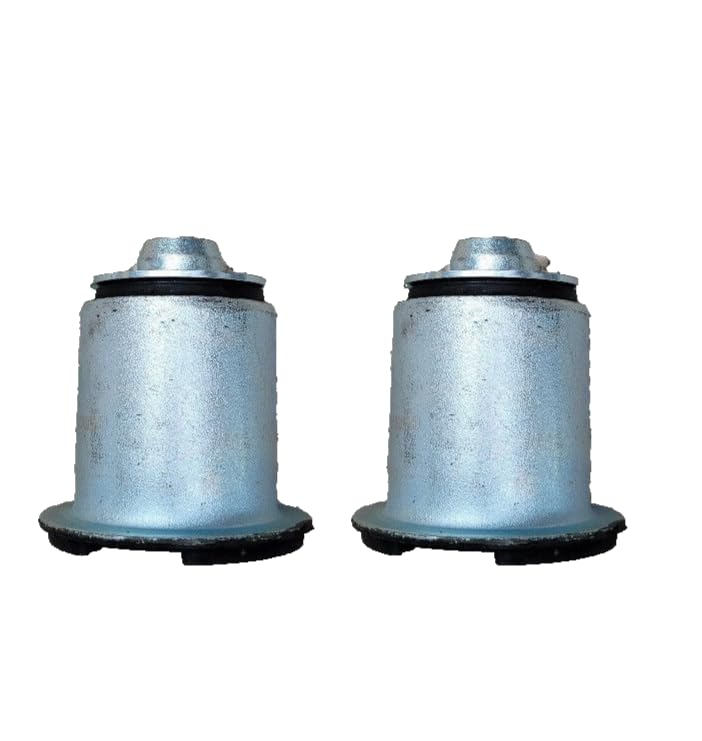 SOFIPART Kit de 2 Pièces Silent Bloc Support Berceau Moteur, Compatible avec RENAULT Trafic II, OPEL Vivaro A, NISSAN Primastar, Réf. 8200039866, 8200626965, 5440100Q0C, 4418113
