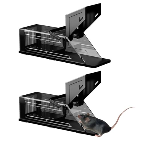 Trampas para Ratas Grandes de Balancin Marca YANGUN