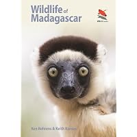 Wildlife of Madagascar