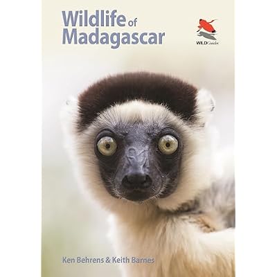Wildlife of Madagascar