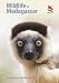 Wildlife of Madagascar (Wildlife Explorer Guides)