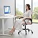 DUMOS Office Desk Chair - Ergonomic Mid Back with Lumbar Support & Rocking Mode, Height Adjustable with Fixed Armrest, Storage Back for Computer, Gaming, Conference, Meeting Room, 360° Swivel, Pink