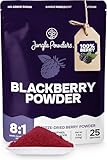 Picture of Jungle Powders BlackBerry Powder 3.5 Ounce Bag Freeze Dried Blackberries Fruit Additive Free Unsweetened Smoothie Superfood Nordic Wild BlackBerry Extract for Baking Flavoring Dry Black Berry Powder