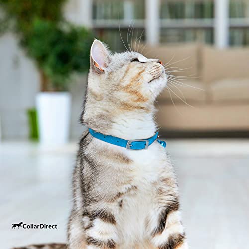 Image of CollarDirect Leather Cat Collar, Cat Safety Collar with Elastic Strap, Kitten Collar for Cat with Bell Black Blue Red Orange Lime Green (Neck Fit 6-7, Light Blue)