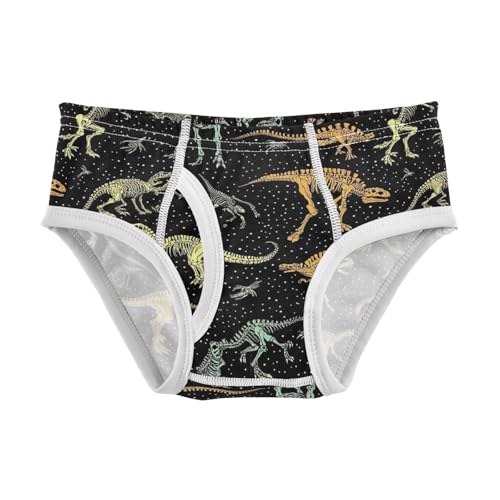 Dinosaur Skeleton Skull Toddler Boy's Underwear 2T 202c0117