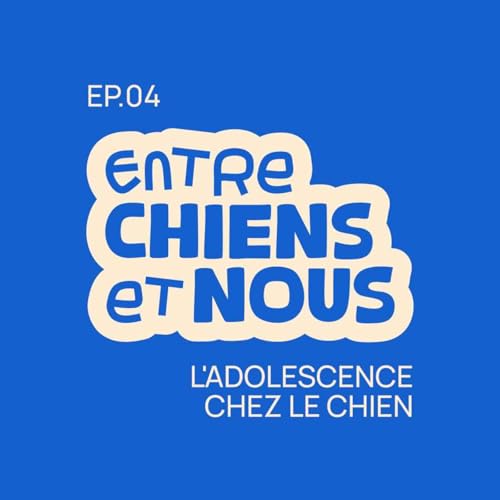 &Eacute;PISODE 4 - L'ADOLESCENCE CHEZ LE CHIEN