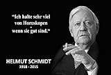 Replika Helmut Schmidt Spruch 1 Blechschild Metallschild Schild gewölbt Metal Tin Sign 20 x 30 cm