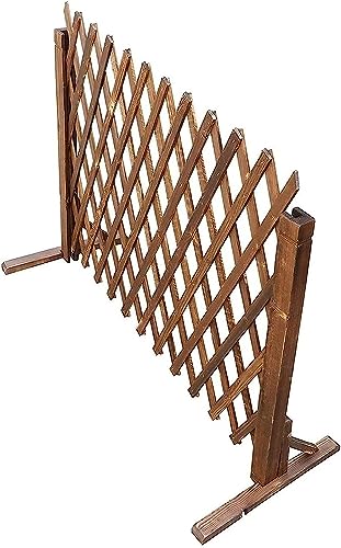 tFX vCoV[ tFX XN[ Lk ؐtFX  t[ X^h  oA O K[f tFX XN[ (TCY: 120 * 50CM) (120 * 50CM) Beauty Comes