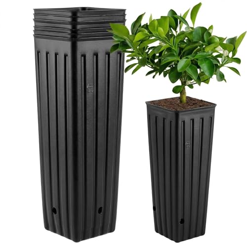 Image of DOITOOL 50Pcs Plastic Deep Plant Nursery Pots, 11.2 inch Tall Tree Pot Black Seedling Treepots Flower Plant Container with Drainage Holes for Indoor Outdoor Gardening (11.2 inch H X 3 inch W)
