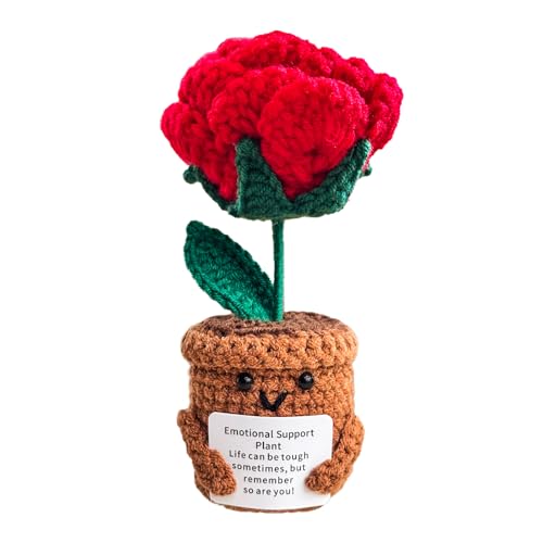 KIAYOO Rose Gifts For Women Men, Emotional Support Plant Christmas Positive Flower Leaving Get Well Soon Thinking of Thank You Presents for Her Mother Teacher Girls Friends