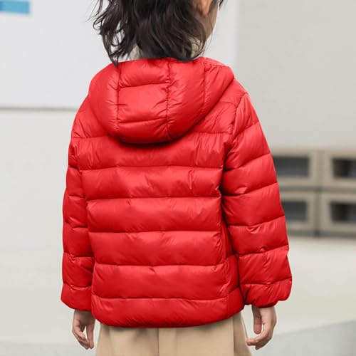 Youth Puffer Jacket Lightweight Winter Warmth Long Sleeve Coat Kids Soft Comfortable Quilted Down Jacket with Hood4