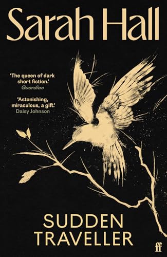 Sudden Traveller: Winner of the BBC National Short Story Award