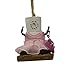 S'mores Ballerina with Shoes Resin Christmas Ornament