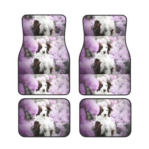 Alfombrillas de coche Border Collie antideslizantes para evitar manchas de barro y agua