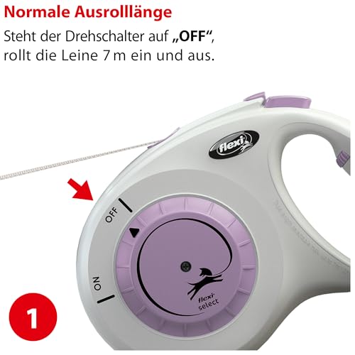 flexi® Select M Gurt 0-7 m grau/lila, Roll-Leine für Hunde bis 25 kg