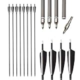 AMEYXGS 6/12pcs Carbon Arrows 34inch Practice Arrow with True Feathers and Detachable Arrow Tips 500 Spine Shooting Practice Arrows for Compound Bow Recurve Bow (12pcs)