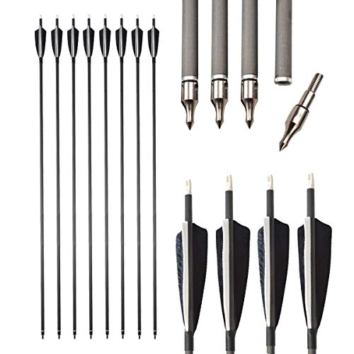 Best Compound Bow Arrows 34 Inch 2024 Where to Buy