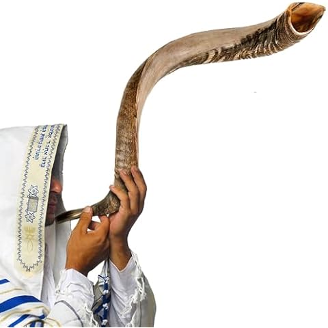 Kosher Jewish Kudu Blowing Horn Instrument Shofar from Israel - Kudu Shofar Angels Musical Instrument – Half Polished/Natural (Single, 32"-35" - L) Cover