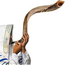 آلة نفخ كودو اليهودية الكوشرية شوفار من إسرائيل - آلة موسيقية ملائكة كودو شوفار نصف مصقولة/طبيعية مفردة، 13"-19" - ميني
