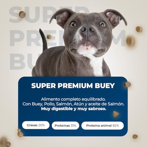 Lobo Azul Pienso de Buey - Imagen 5