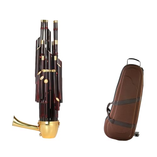 21-Spring Sheng, D Key, Includes Accessories And Storage Bag, Suitable for Festive Band Performances And Harmonies,D