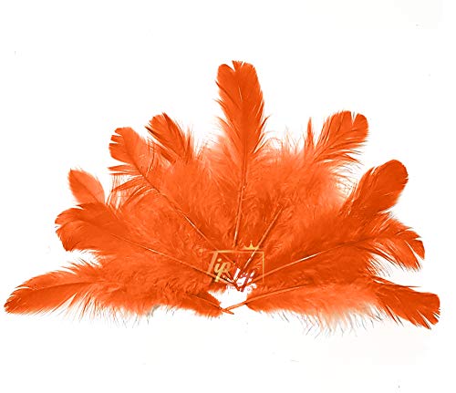 Image of Natural Dyed Feathers 10 cm (80 pieces) (Orange)
