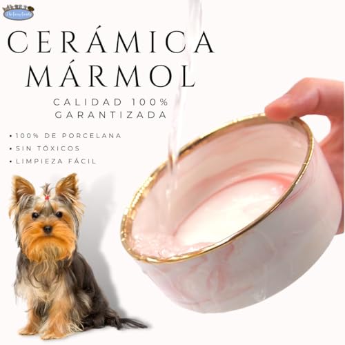 Platos Para Gato, Pet Products Imagen adicional