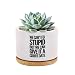 We Can't Fix Stupid But We Can Give It A Court Date Lawyer Gifts Ceramic Succulent Plant Pot with Bamboo Tray Round Law Student Attorney Home Office Decor Plant Lover 3.5 Inch White (No Plants)