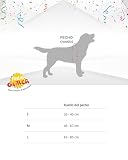 FIESTAS GUIRCA Zauber Schüler Hunde Kostüm - Magier Hund – Halloween Hundekostüm - L