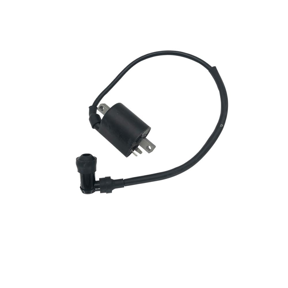 Bobina de encendido para quad compatible con motores de 260cc y 300cc D300 ATV