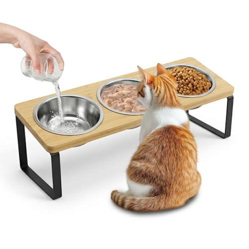 Ciotola rialzata per gatti, 3 ciotole per gatti in acciaio inox con supporto inclinato a 15°, stazione per cibo e acqua, anti vomito, ciotola rialzata per gatti con base in bambù per gatti, cuccioli e