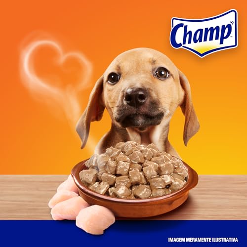 Pack Ração Úmida Champ Sachê Cães Filhotes Sabor Caseiro Frango 85g - 40 unidades