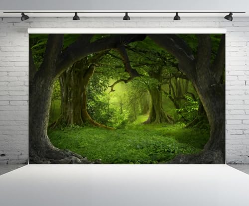 Fondo Fotográfico Bosque Encantado 7x5ft miniatura 2