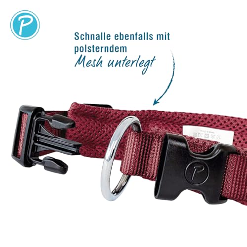 Petlando Mesh Hundehalsband – leicht, atmungsaktiv, weich mit Mesh gepolstert, stufenlos verstellbar, robust & strapazierfähig mit O-Ring – Halsband Hund M 45-50cm, Bordeaux